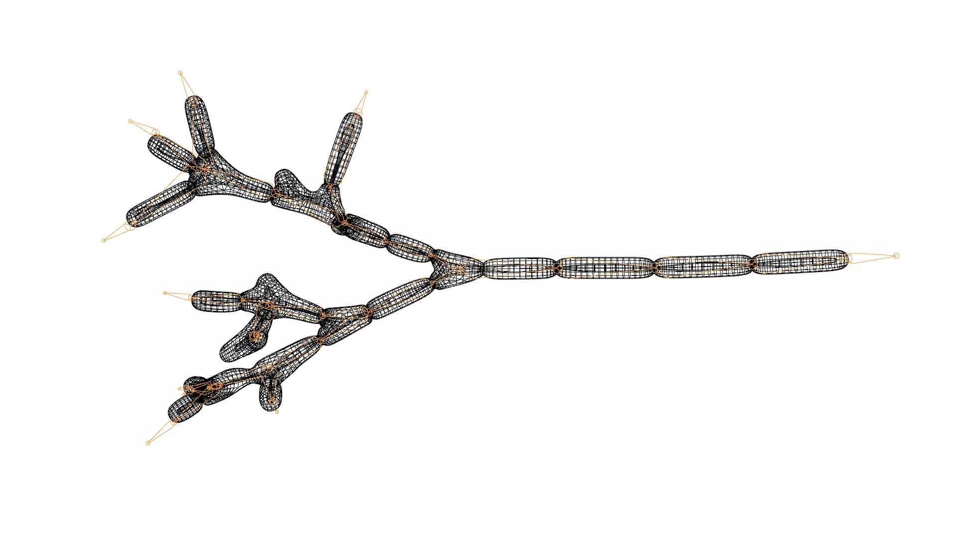 Animated microbes 11-15 Low-poly 3D model_9