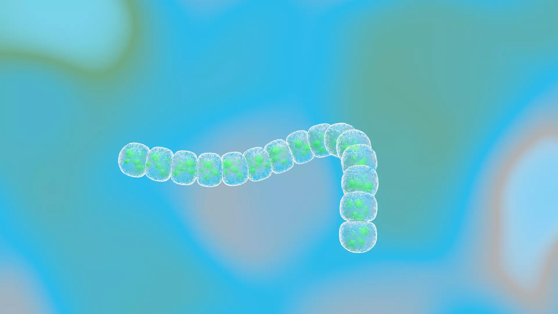 Animated microbes 11-15 Low-poly 3D model_5