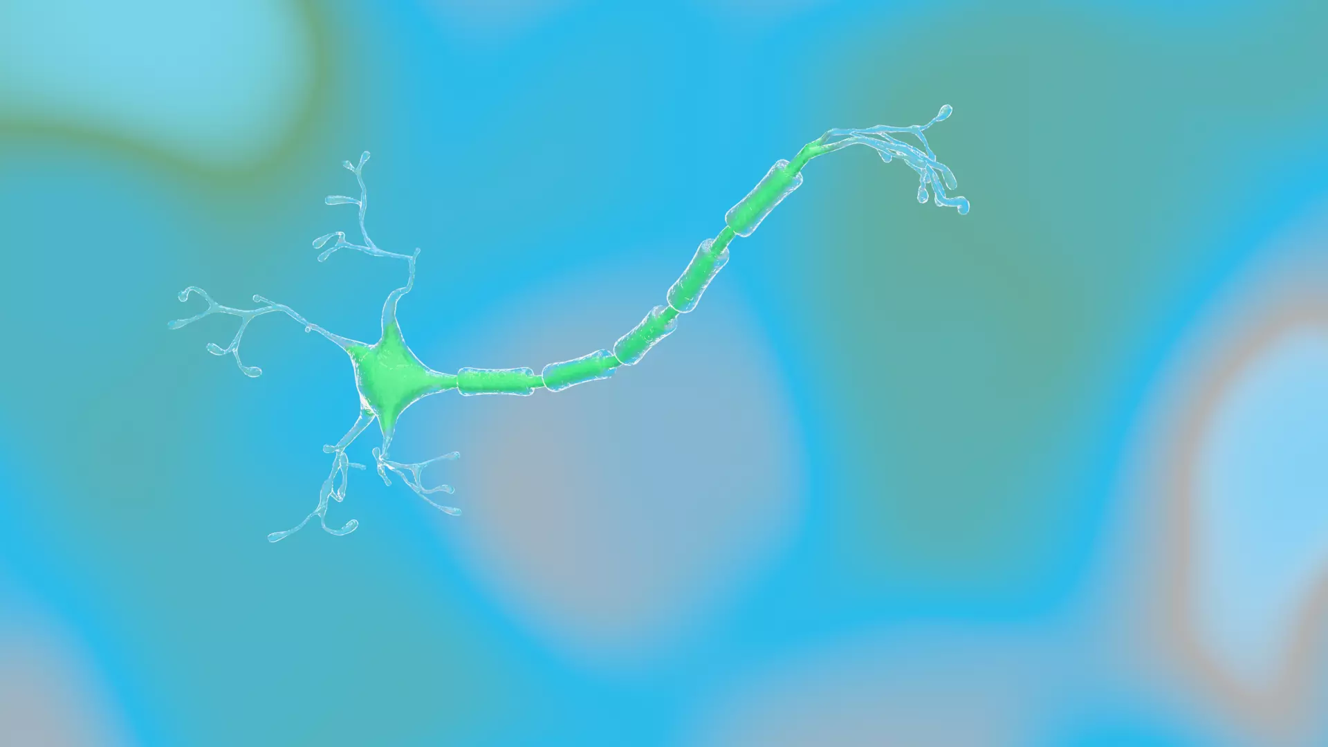 Animated microbes 11-15 Low-poly 3D model_3