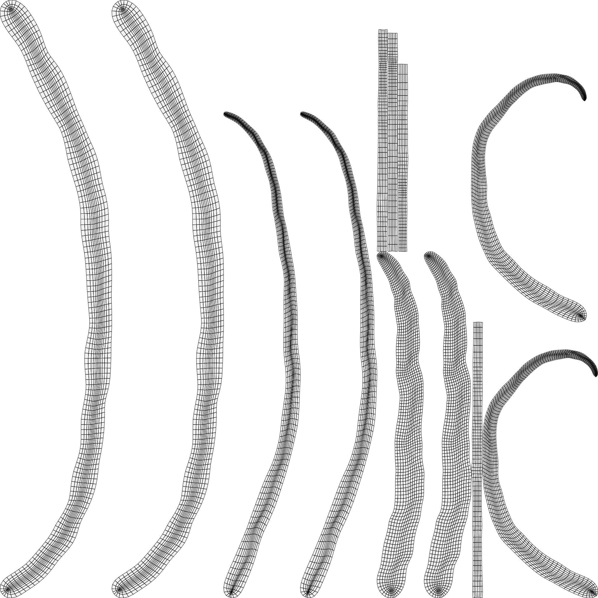 Animated microbes 11-15 Low-poly 3D model_12