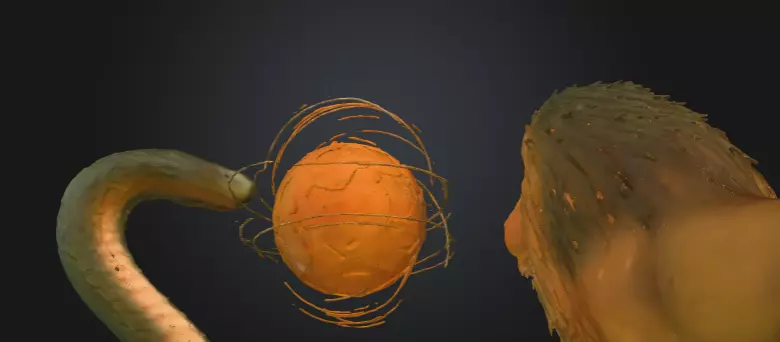  serpens et leo 3D model_4