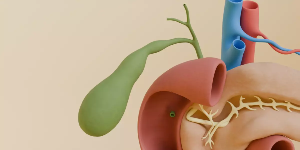 Detailed Human Pancreas Kidney Gall Bladder 3D Model 3D model_2