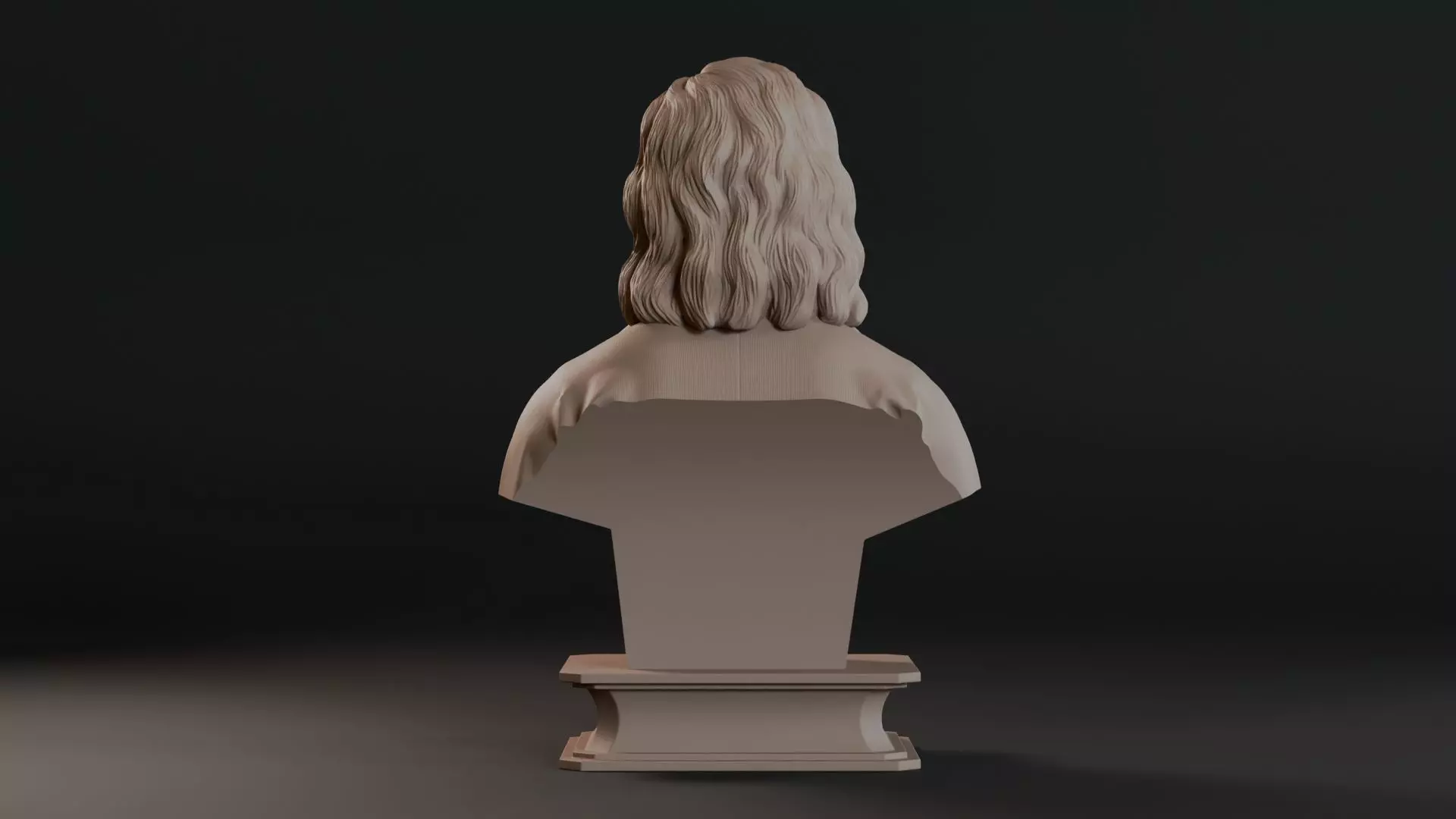 Sir Isaac Newton Bust Sculpture 3D print model_7