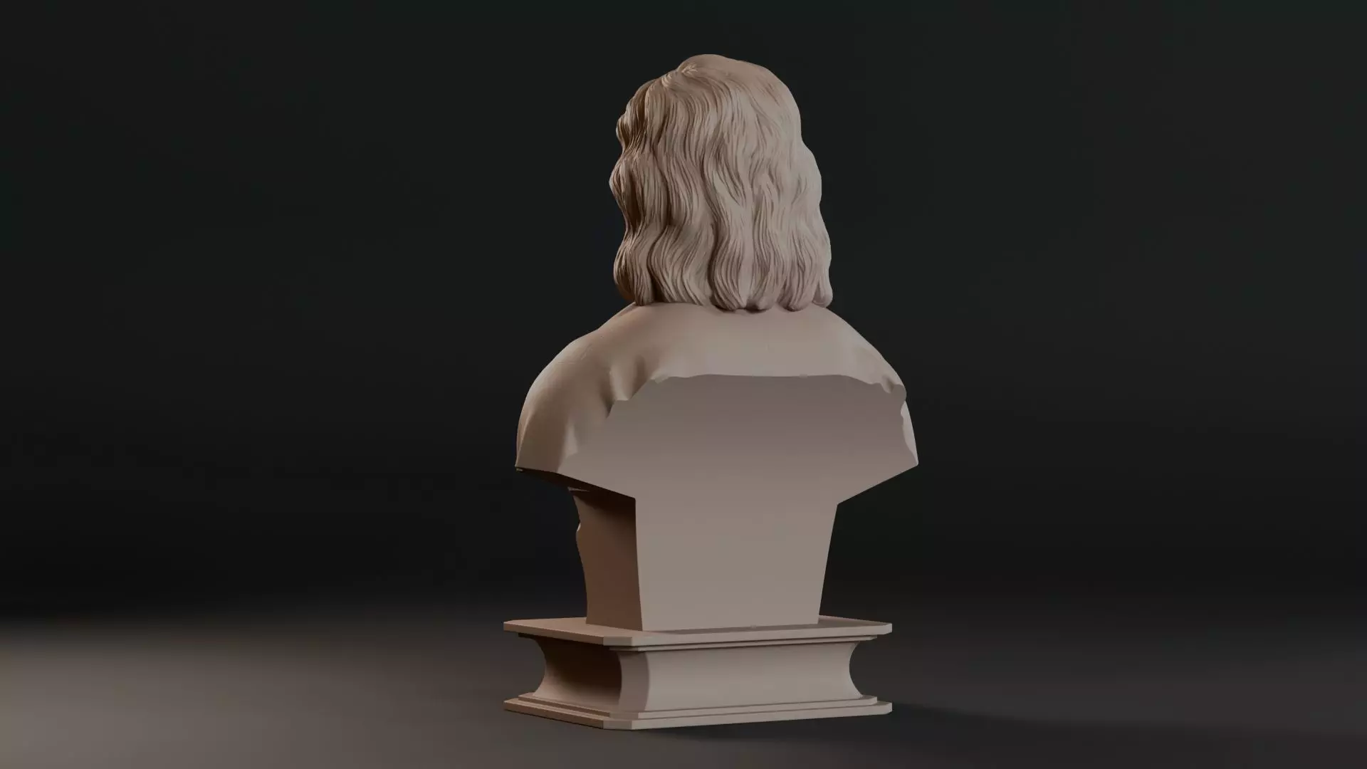 Sir Isaac Newton Bust Sculpture 3D print model_8