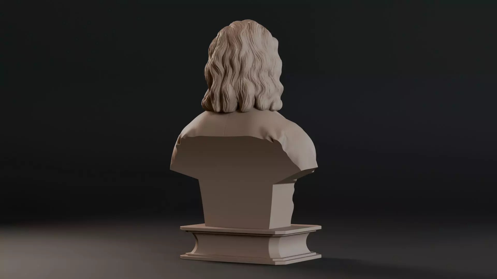 Sir Isaac Newton Bust Sculpture 3D print model_6