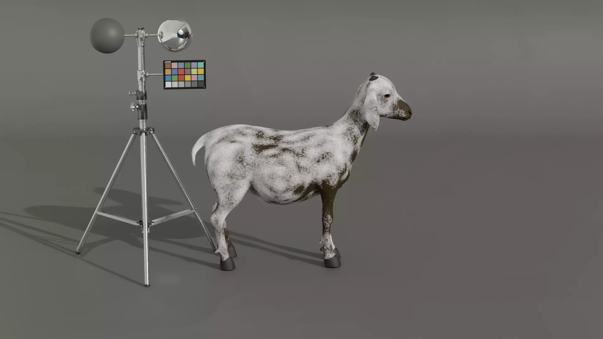 Realistic Rigged Goat Fur PBR Textured 3D Model Animation Film Low-poly 3D model_1