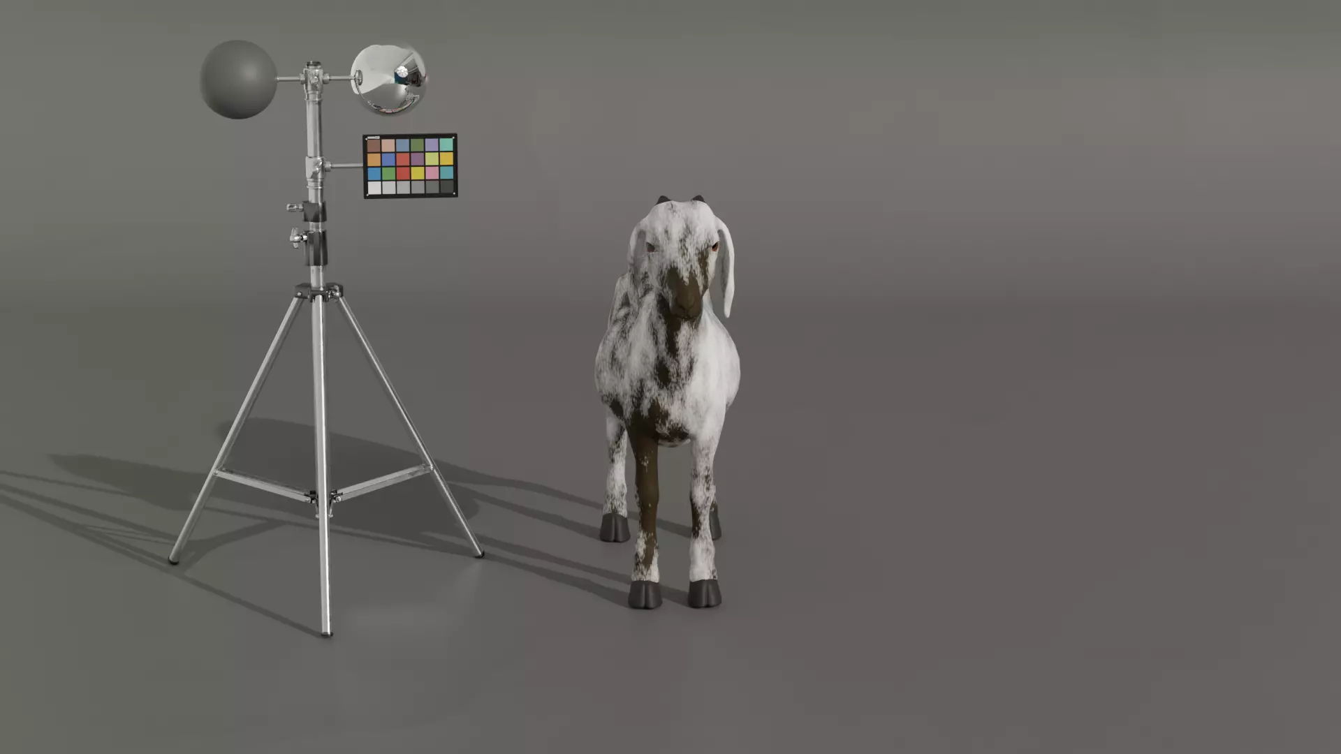 Realistic Rigged Goat Fur PBR Textured 3D Model Animation Film Low-poly 3D model_5