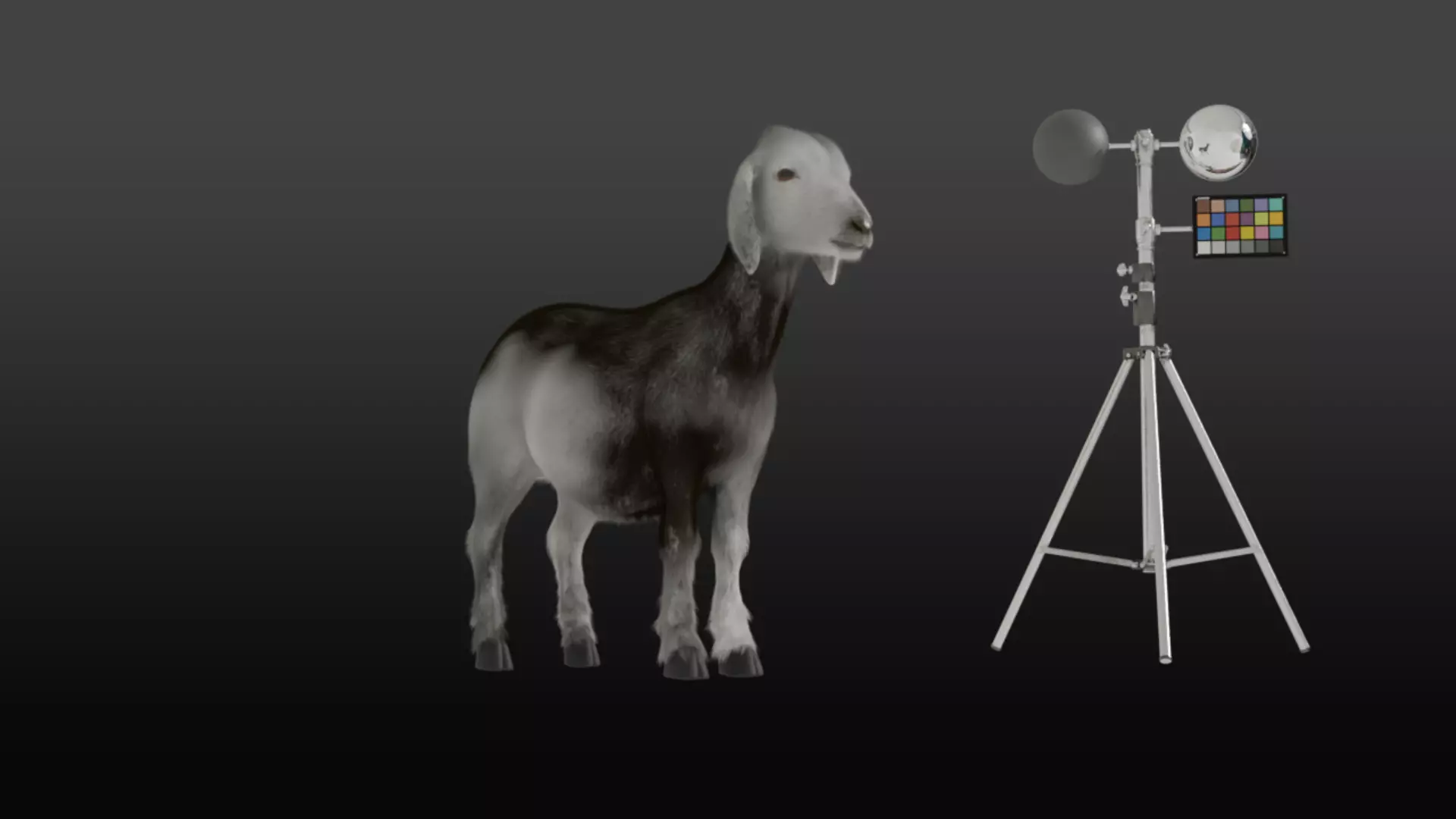 Realistic Rigged Goat Fur PBR Textured 3D Model Animation Film Low-poly 3D model_0