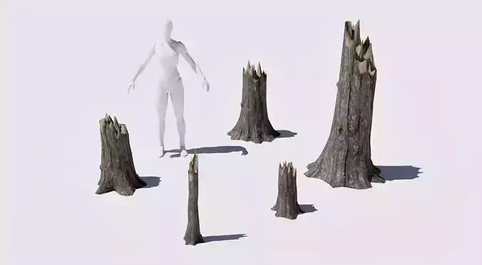 Dead tree stumps set low poly and game ready