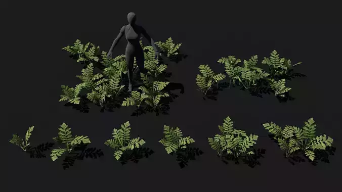 Forest floor weeds green plant Low-poly 3D model