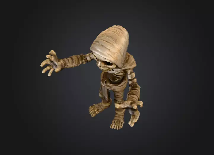 Skeleton Mummy Adventurer 3D model_10