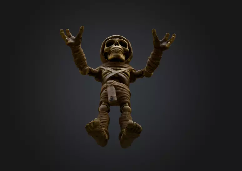 Skeleton Mummy Adventurer 3D model_12