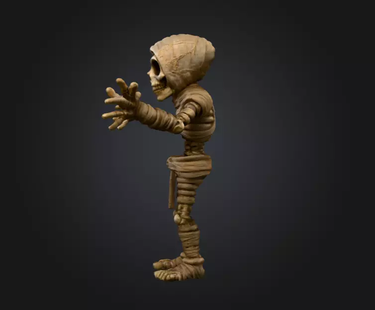 Skeleton Mummy Adventurer 3D model_7