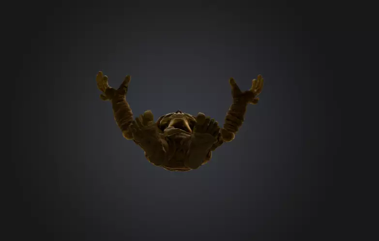 Skeleton Mummy Adventurer 3D model_16