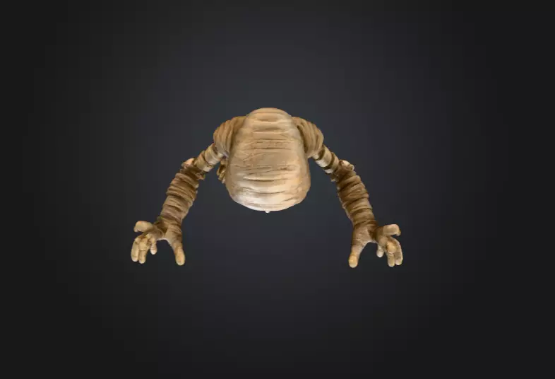 Skeleton Mummy Adventurer 3D model_15