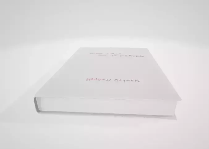 Heaven Mayhem Book Box Volume 3 