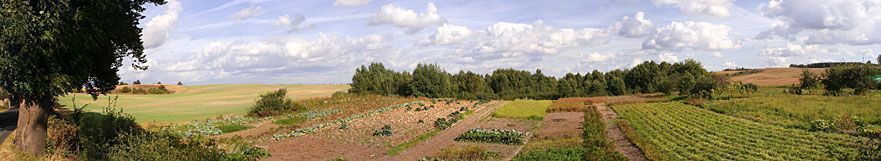 Landscapes vol. 3 3D model_2