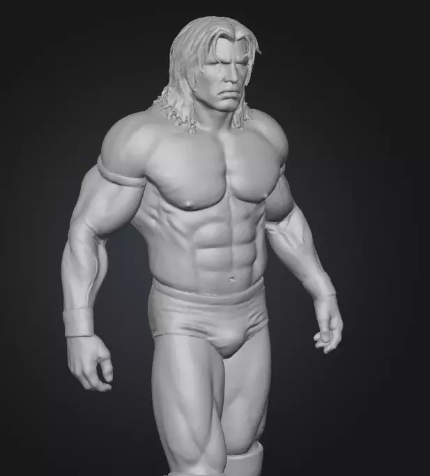 Westler in the Ring 3D model_0