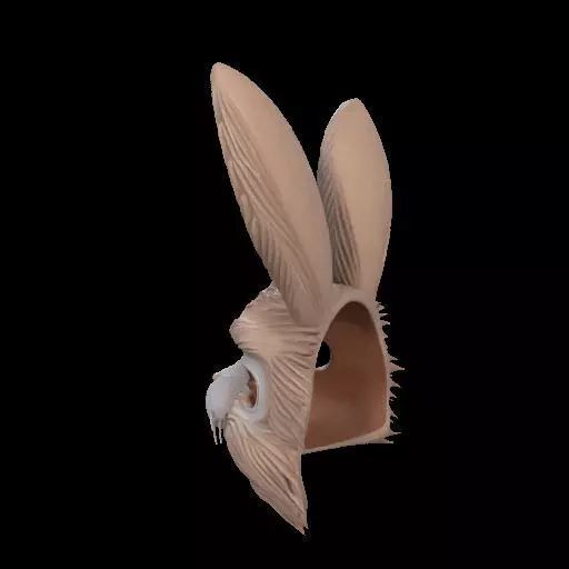 Wearable Realistic Rabbit Mask 3D print model_14