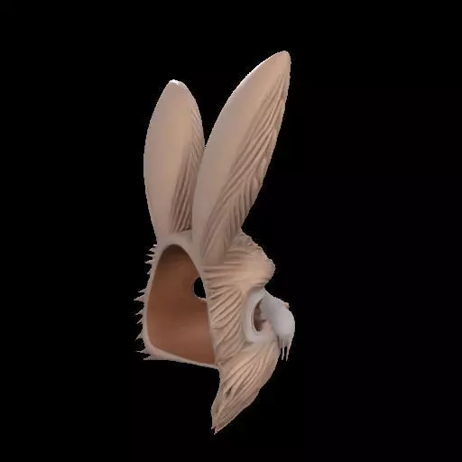 Wearable Realistic Rabbit Mask 3D print model_3