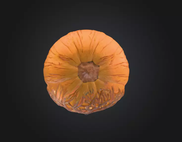 Eye Tree Pumpkin 3D model_13