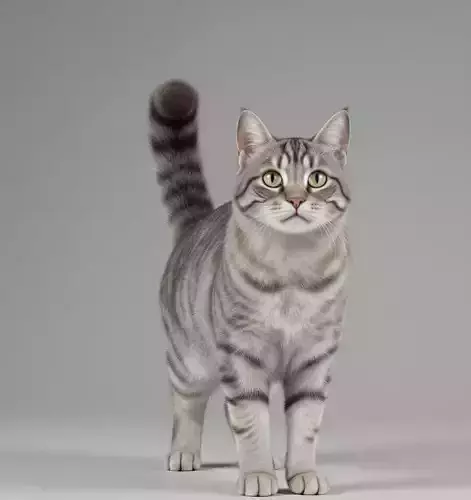 A Striking Tabby Cat Portrait