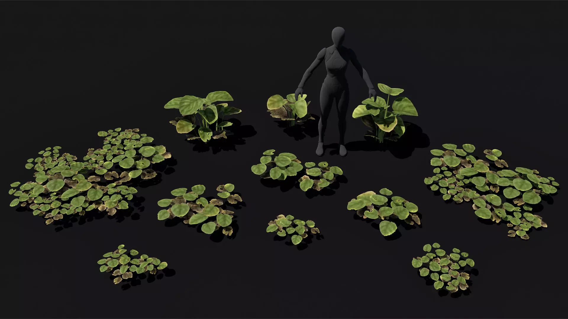 Ground cover plants low poly and game ready Low-poly 3D model