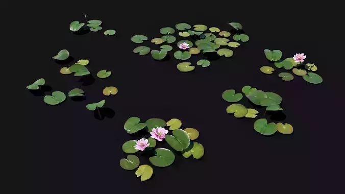 Water Lilies game ready low poly