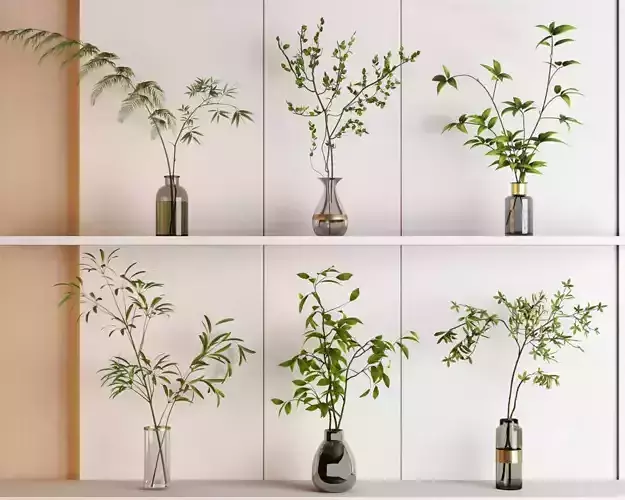 Modern Green Plant with Glass Vase Collection