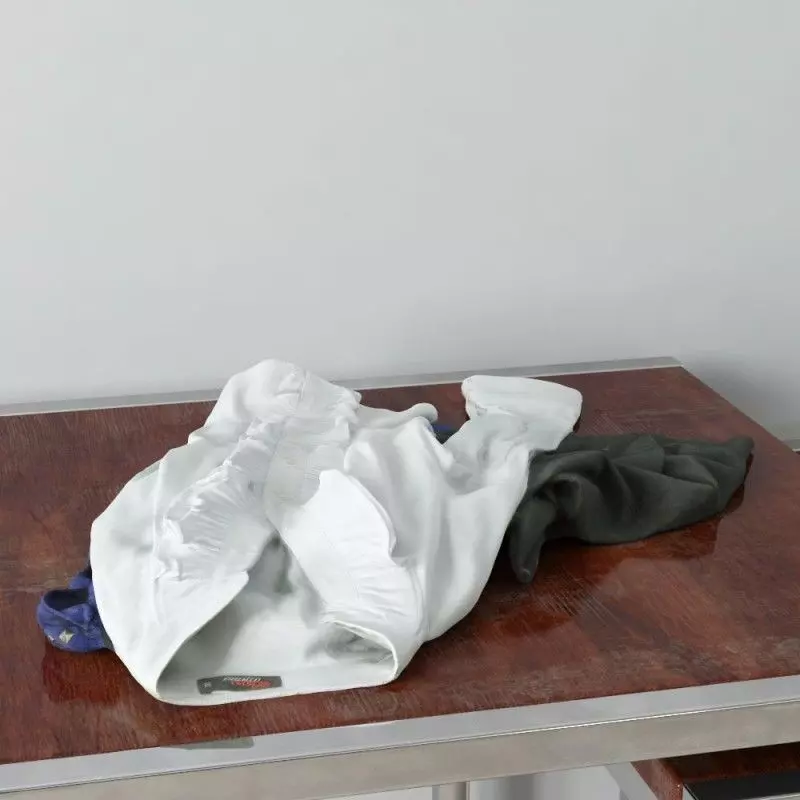 clothes 26 am159 3D model