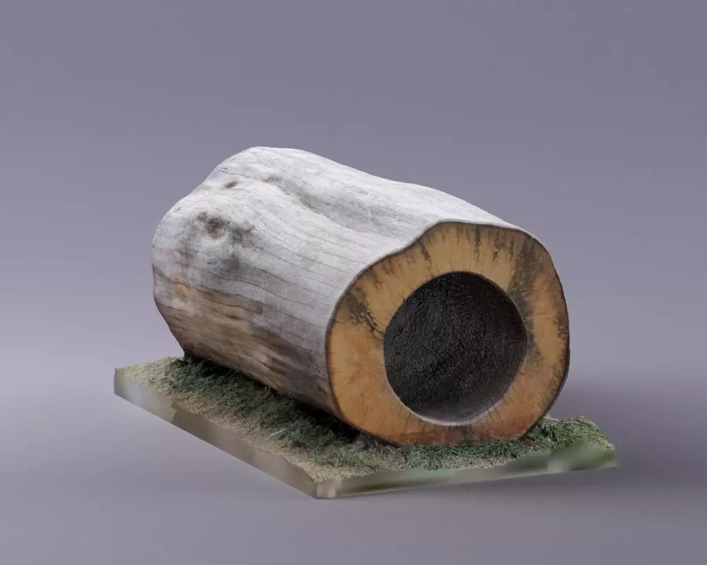 S00095 Hollow Tree Trunk Segment Low-poly 3D model