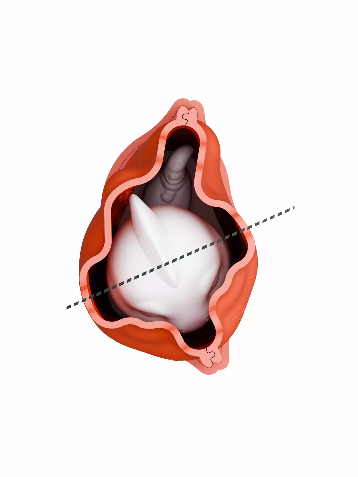 3D Printable Mold Master Iguana Standing 3D print model_2