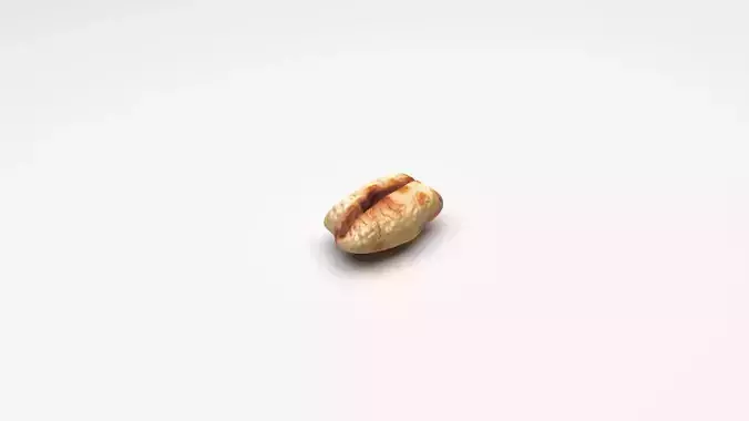 Puffed Wheat 3D model Puffed Wheat 3D model