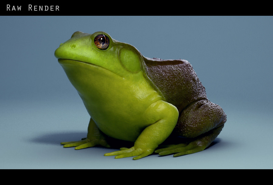 American Bullfrog frog 3D model_3