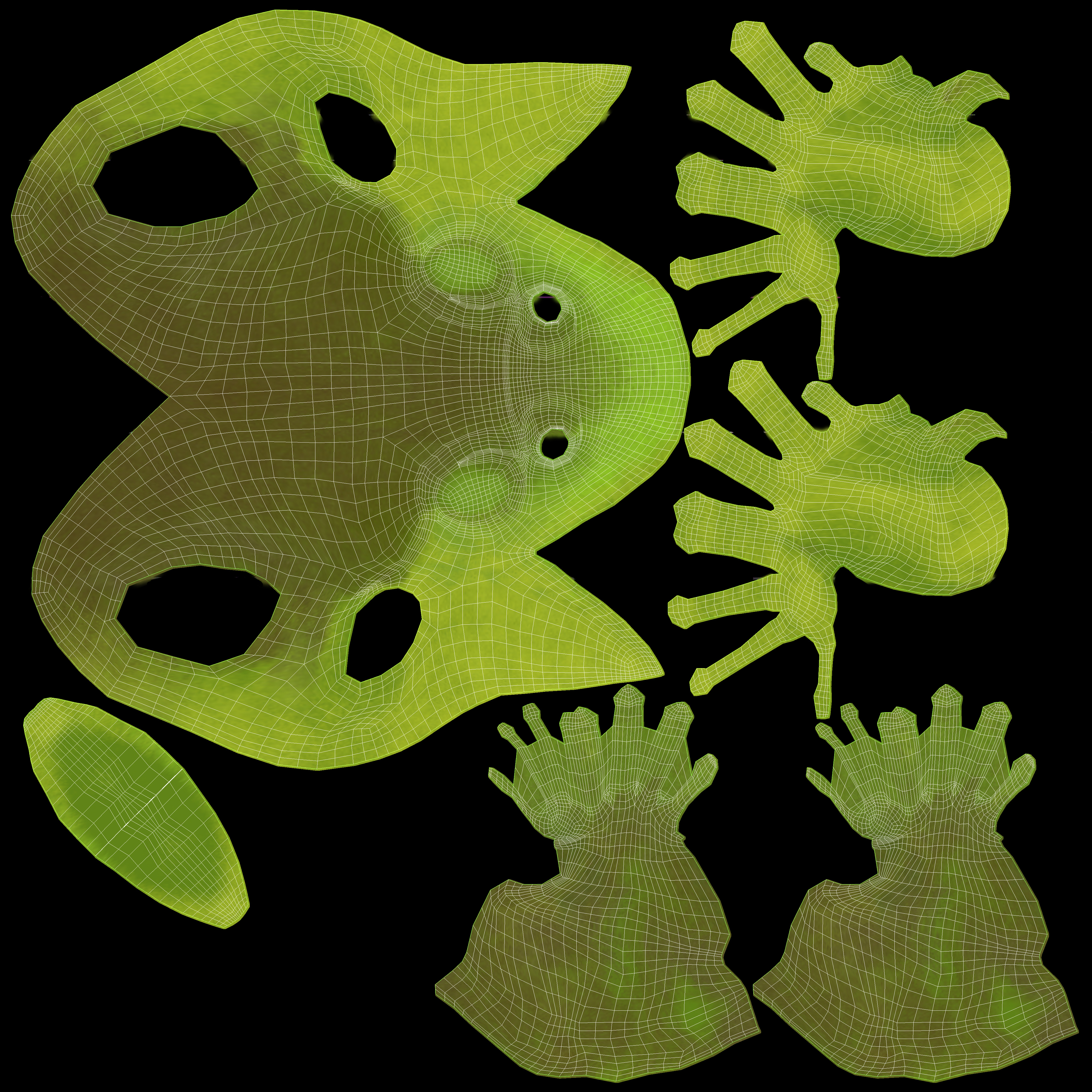 American Bullfrog frog 3D model_4