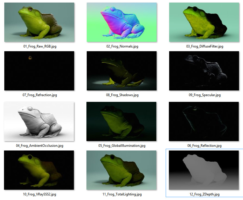 American Bullfrog frog 3D model_6