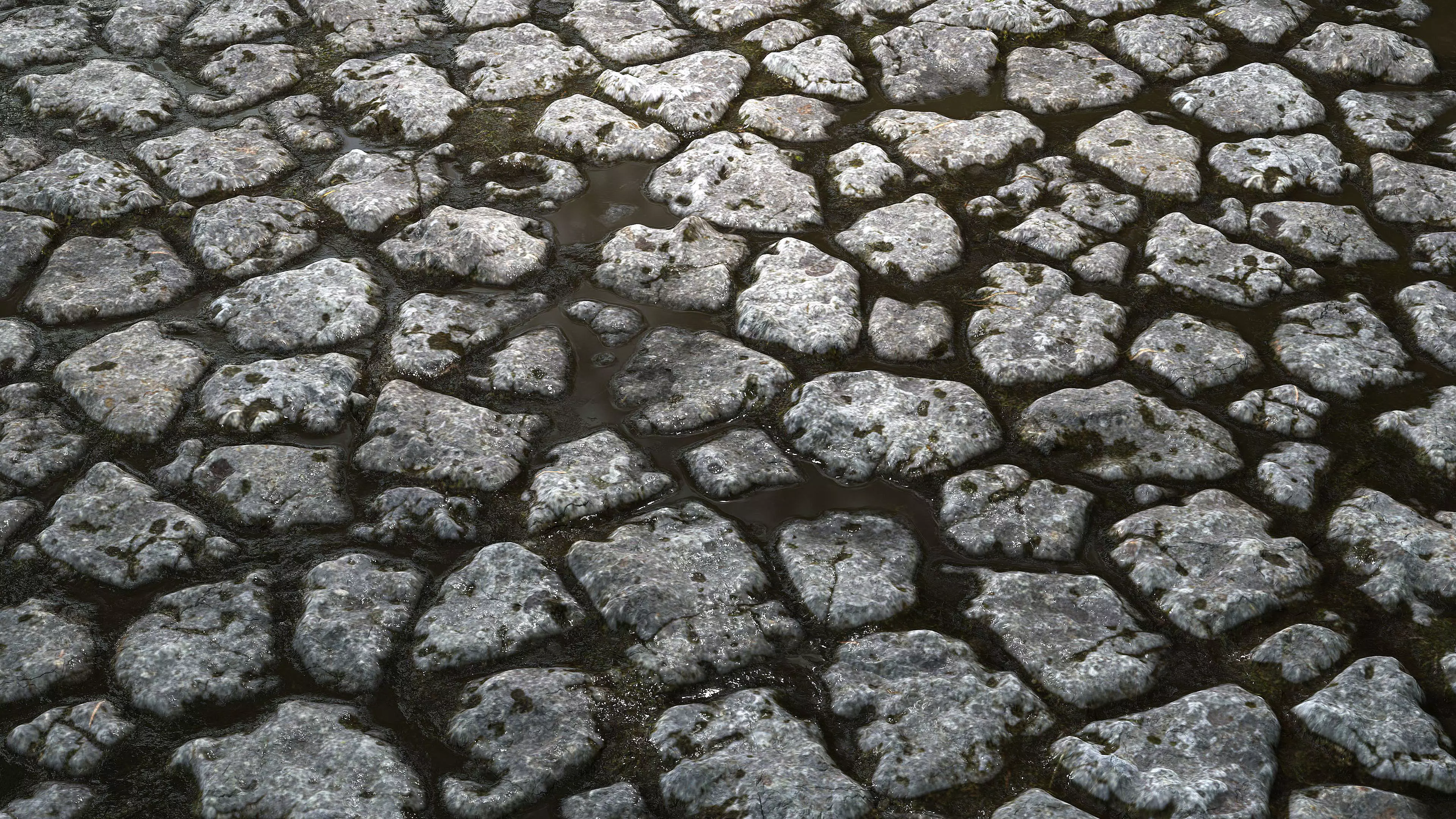 Wet Cobblestones 8K PBR Texture Texture_10