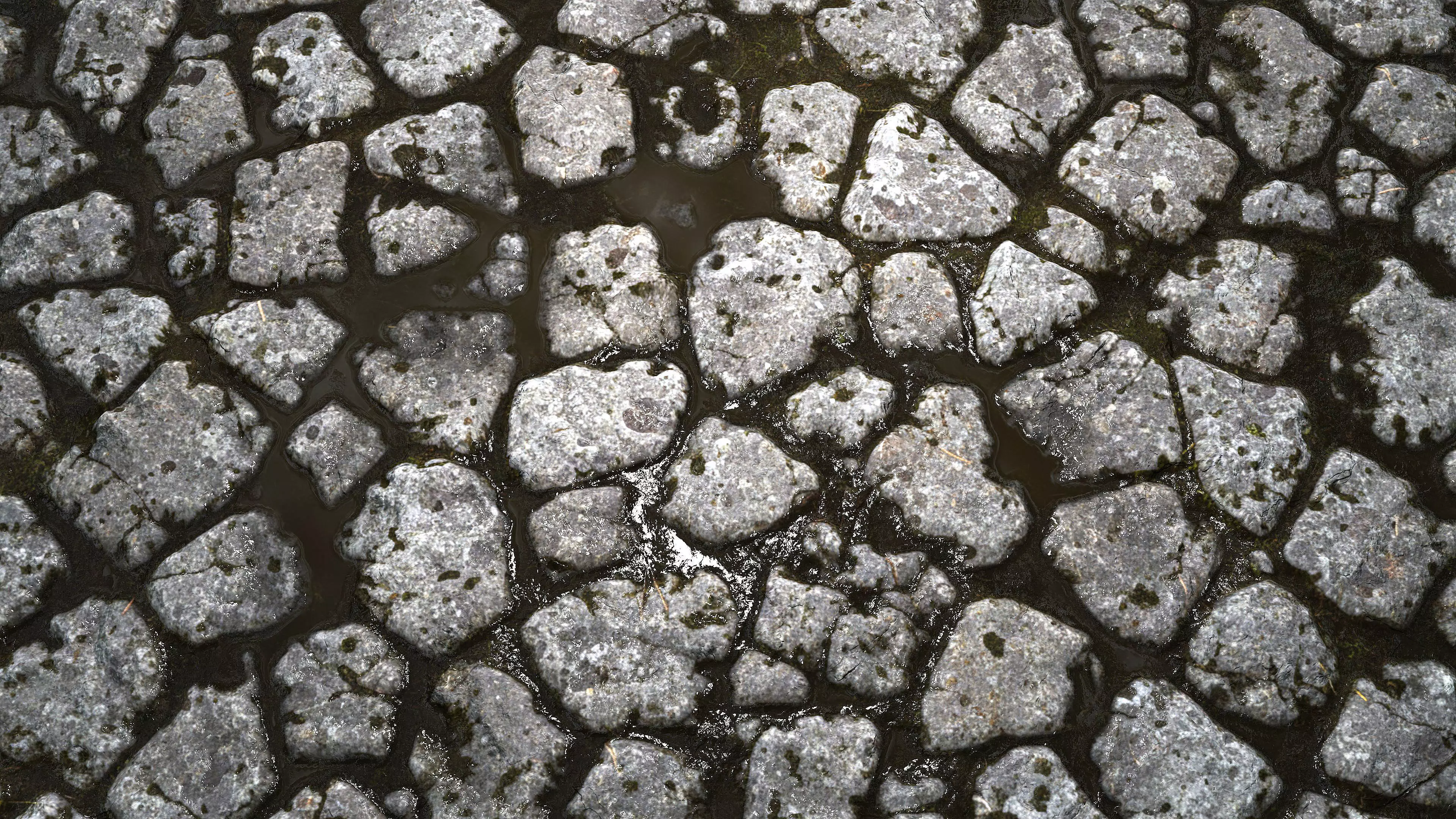 Wet Cobblestones 8K PBR Texture Texture_8