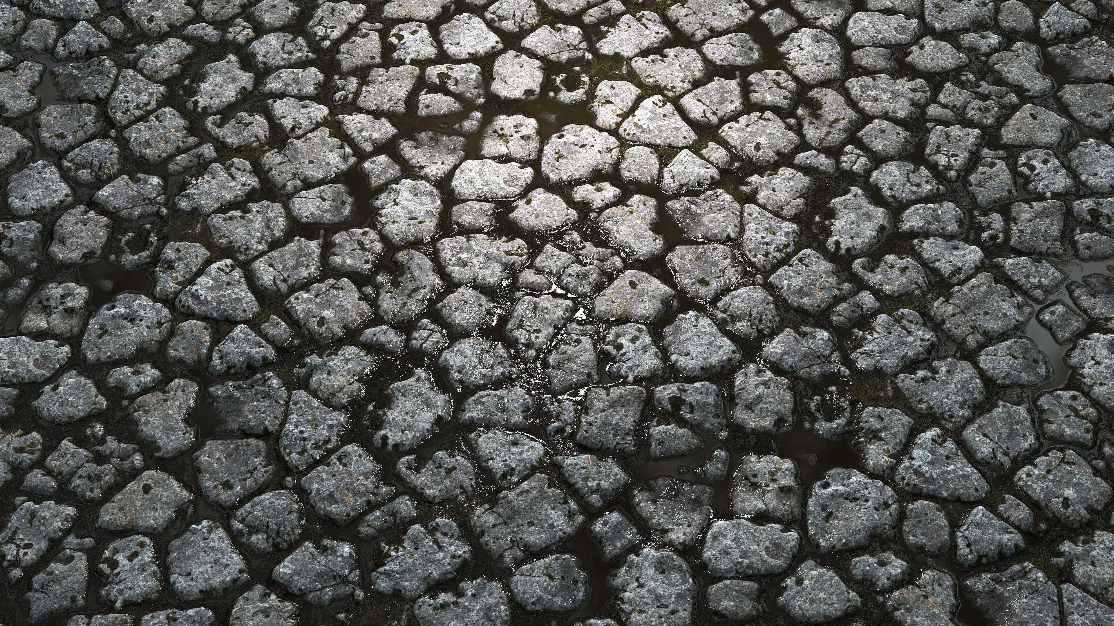 Wet Cobblestones 8K PBR Texture Texture_2