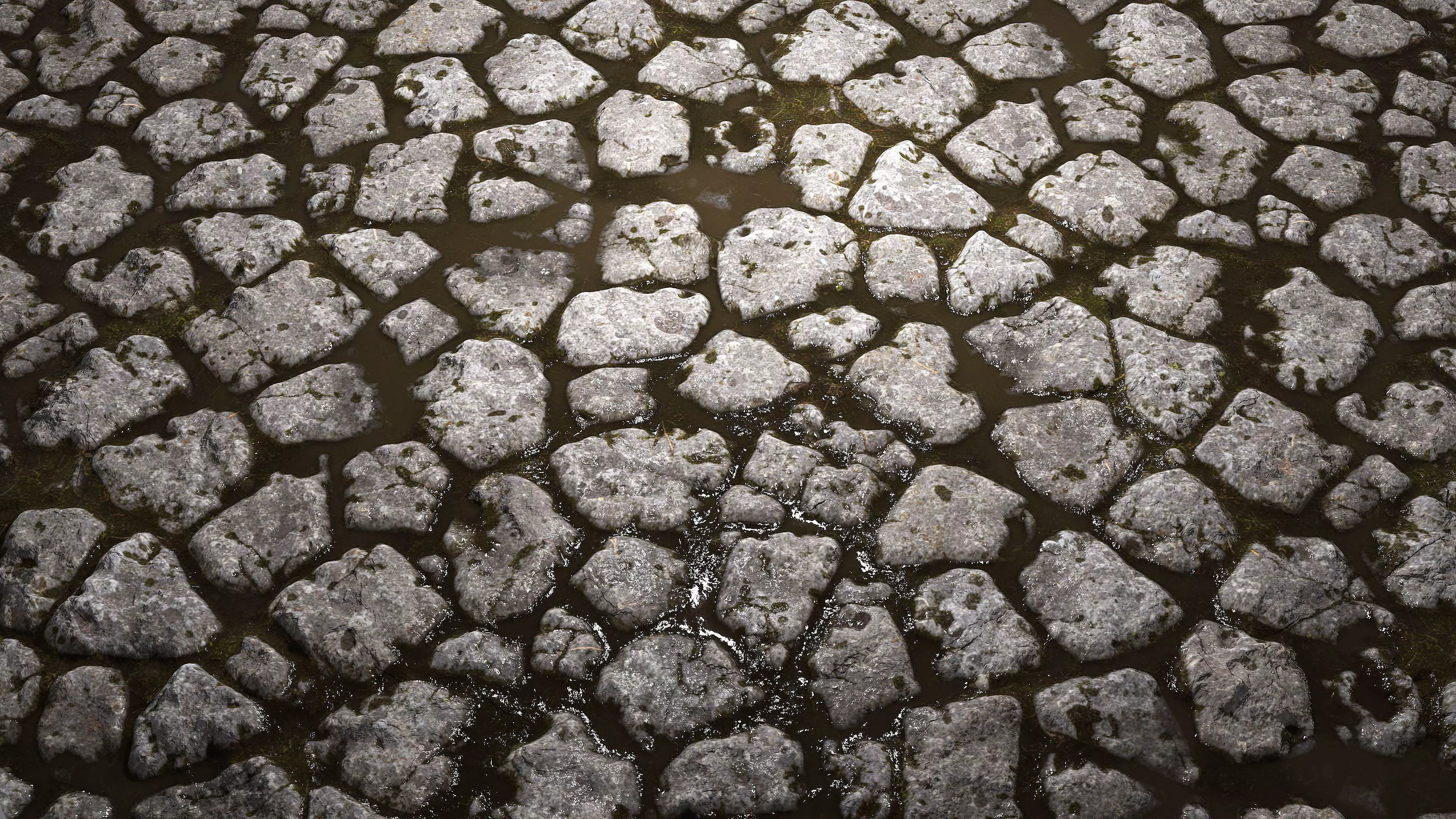 Wet Cobblestones 8K PBR Texture Texture_6