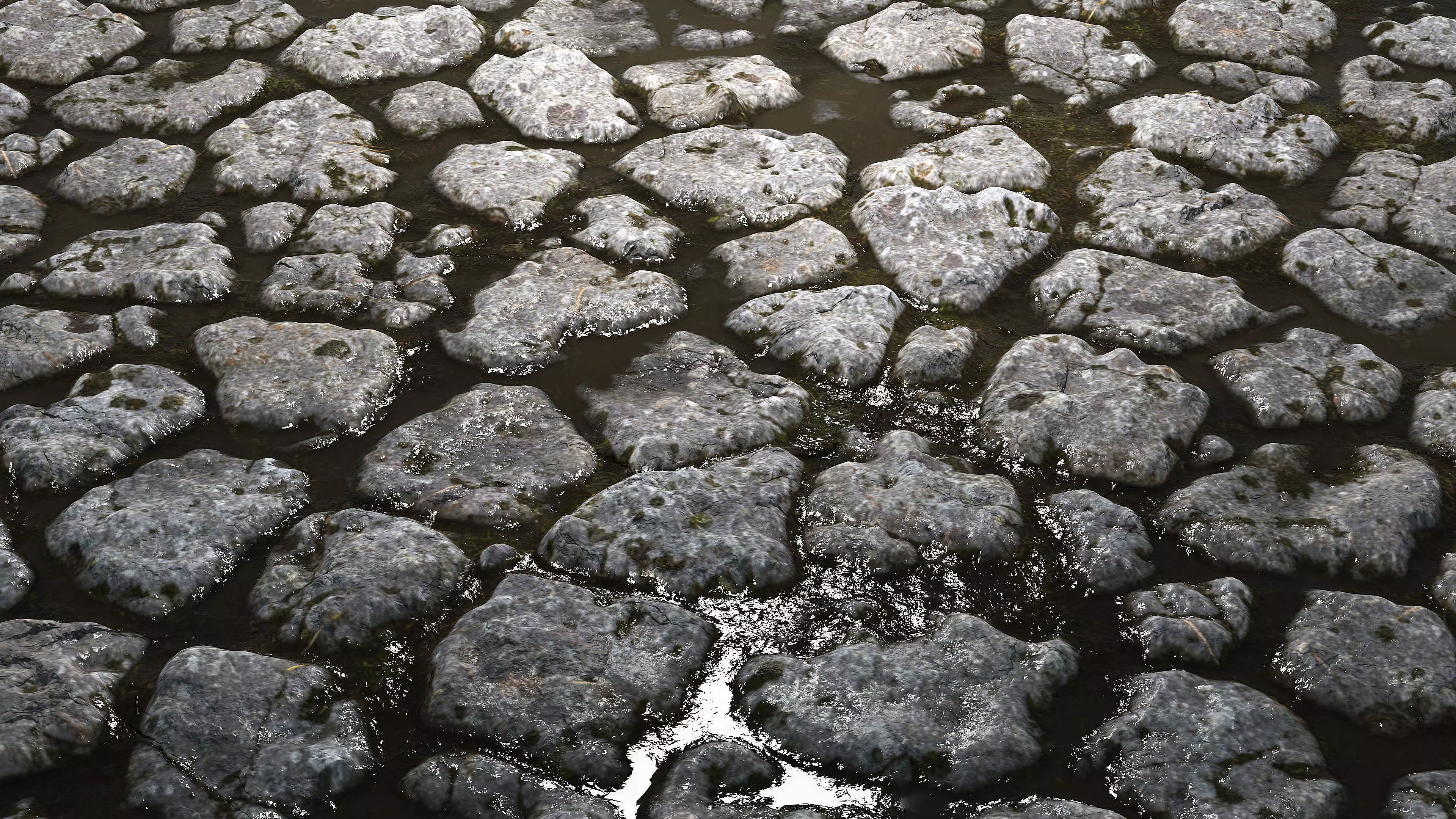 Wet Cobblestones 8K PBR Texture Texture_1