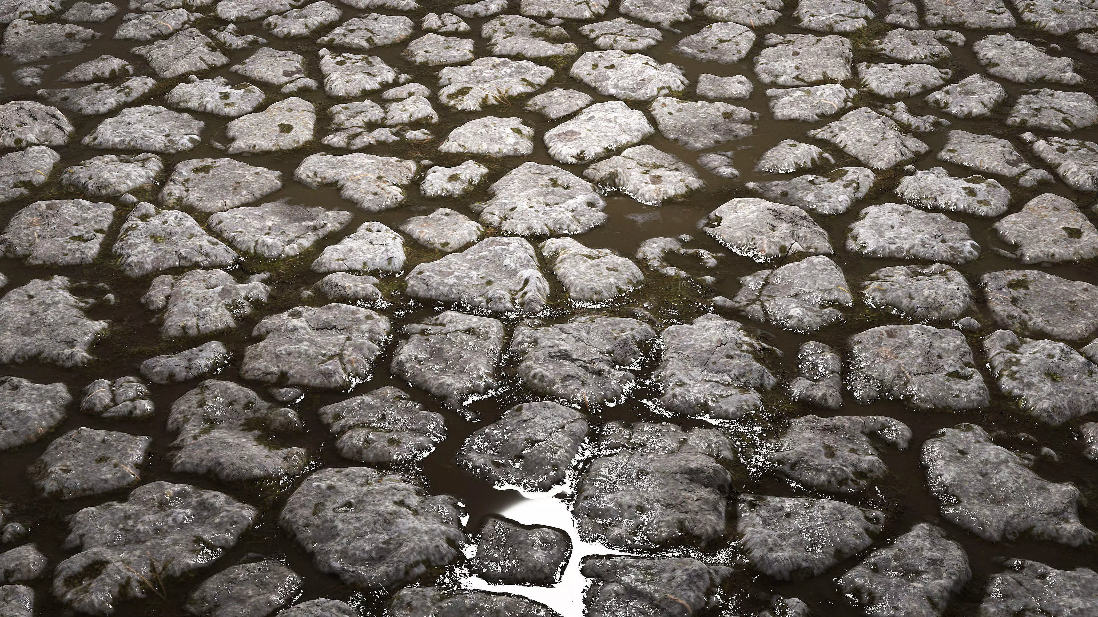 Wet Cobblestones 8K PBR Texture Texture_4