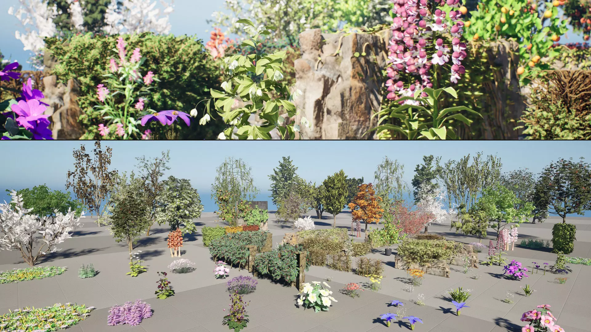 British Flora 3D Model Collection Low-poly 3D model_0