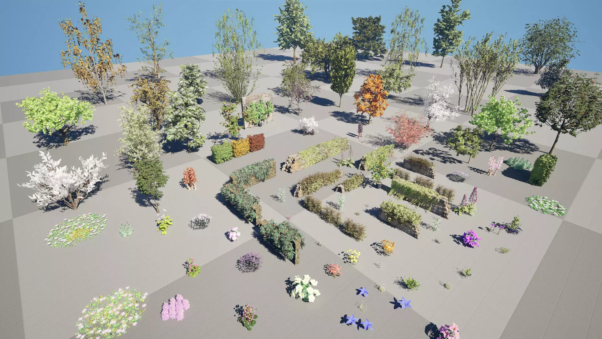 British Flora 3D Model Collection Low-poly 3D model_6