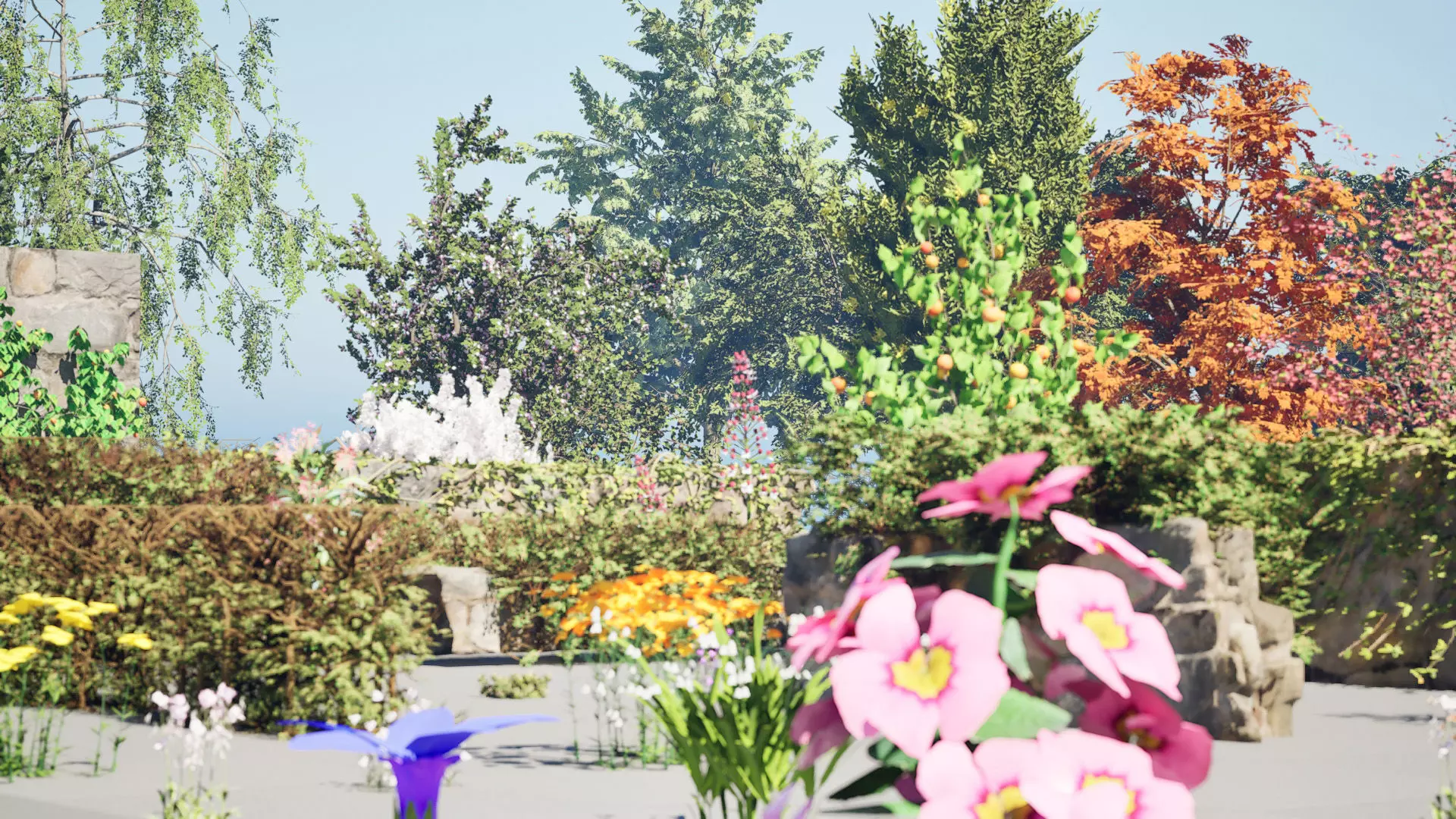 British Flora 3D Model Collection Low-poly 3D model_8