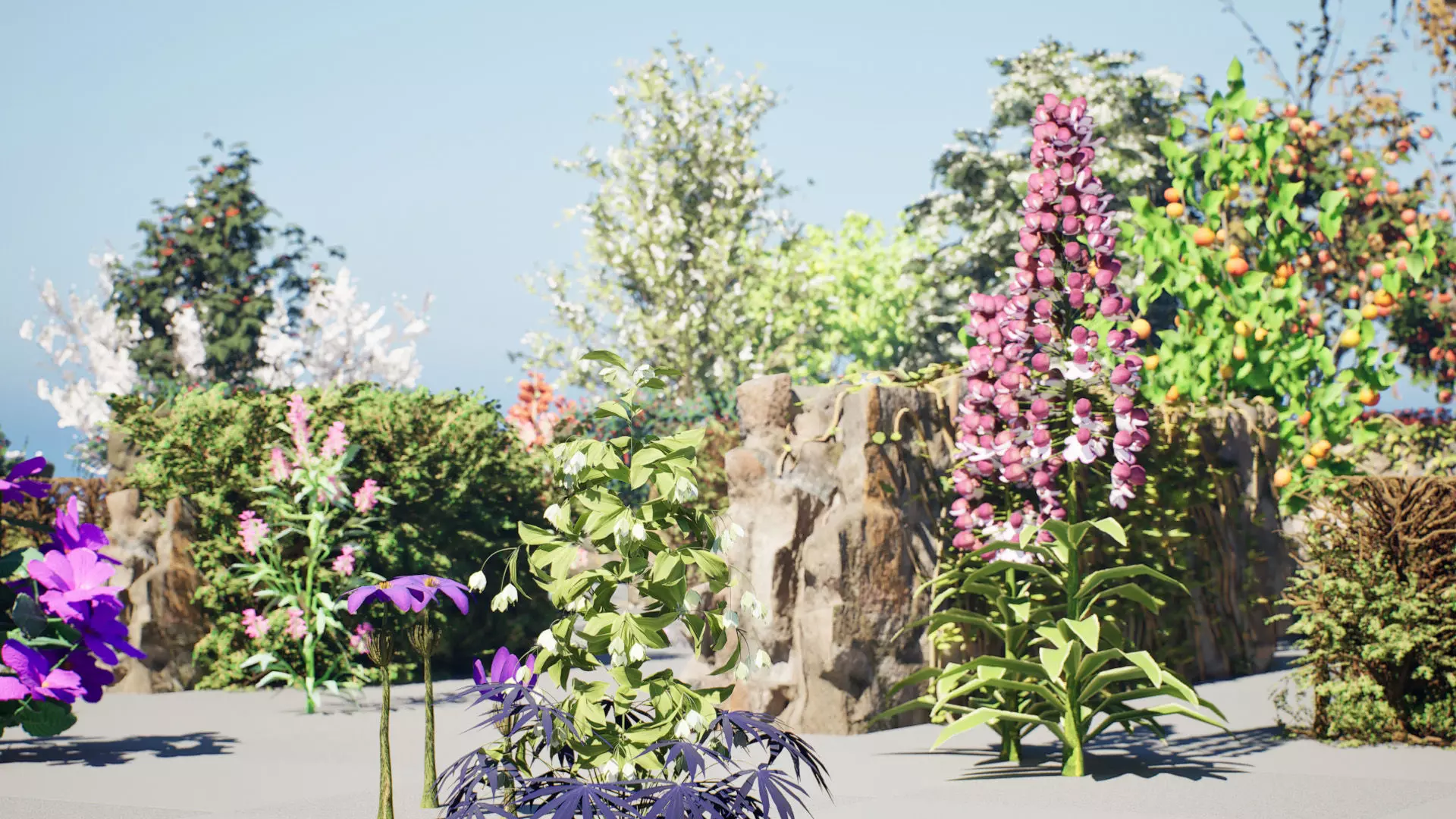 British Flora 3D Model Collection Low-poly 3D model_9