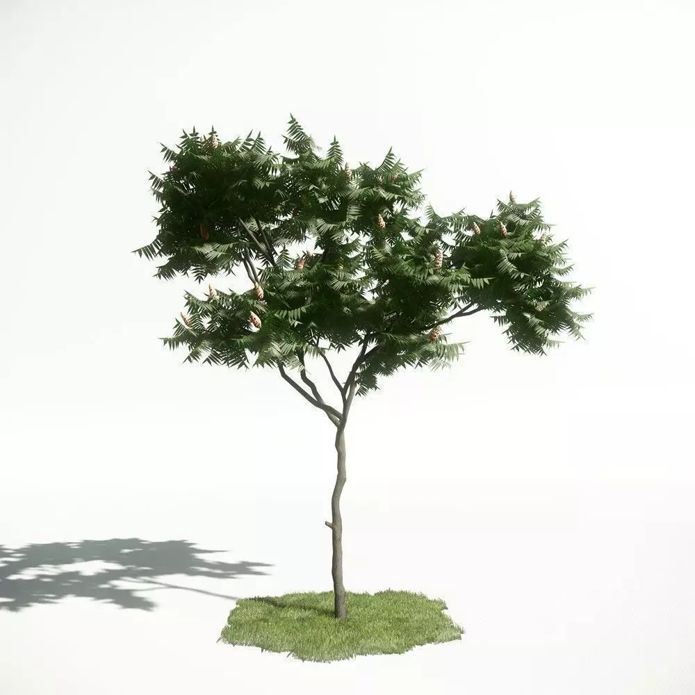 Tree 06 amce1 3D model_0