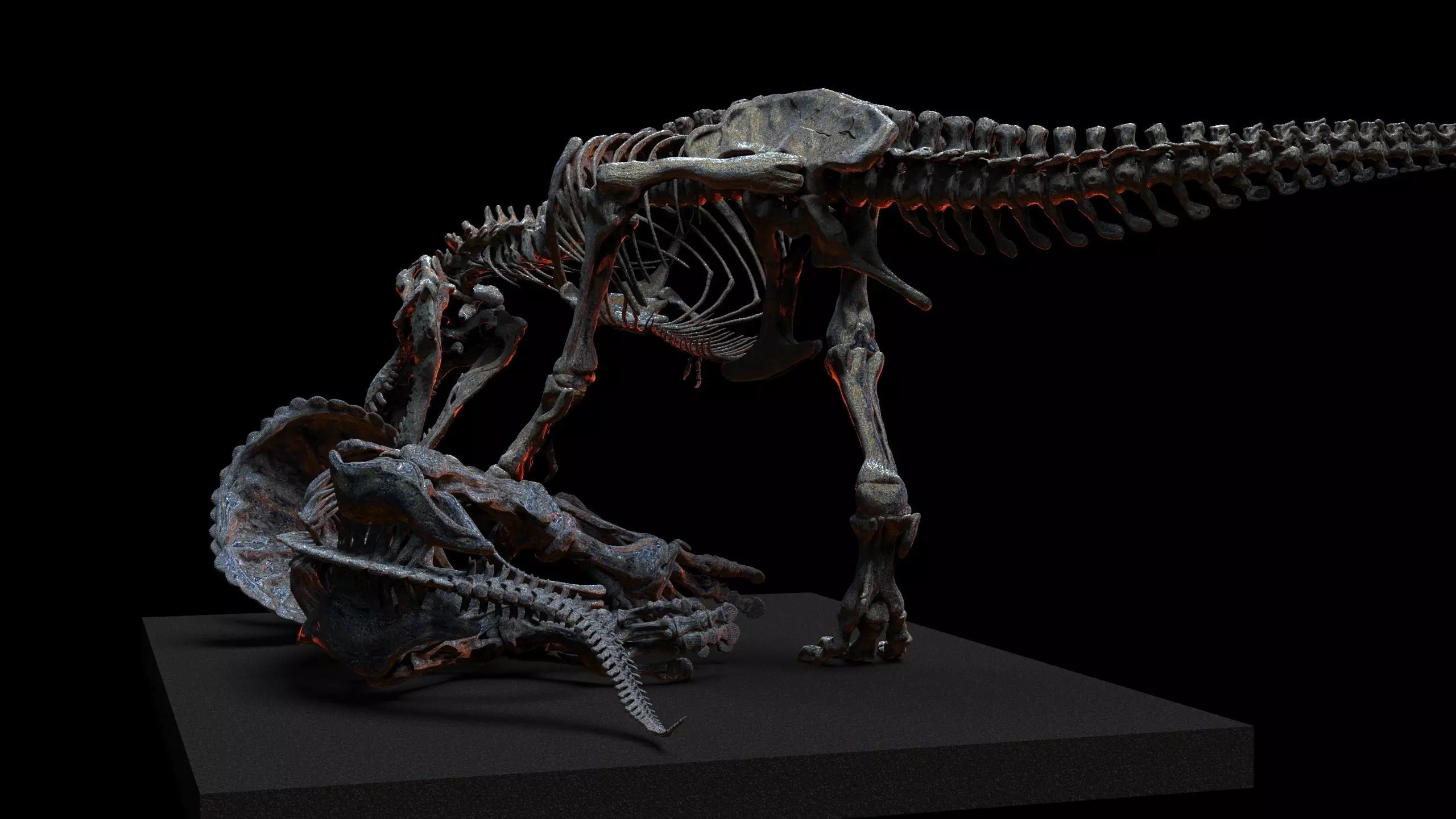 Tyrannosaurus vs triceratops v2 3D print model_2