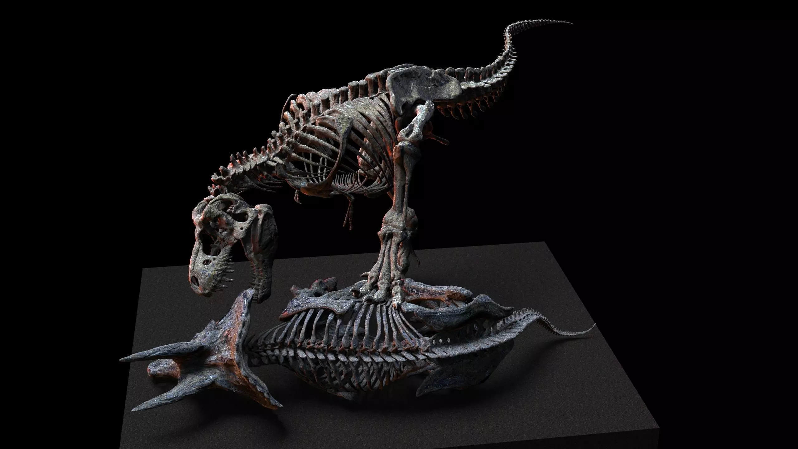 Tyrannosaurus vs triceratops v2 3D print model_7