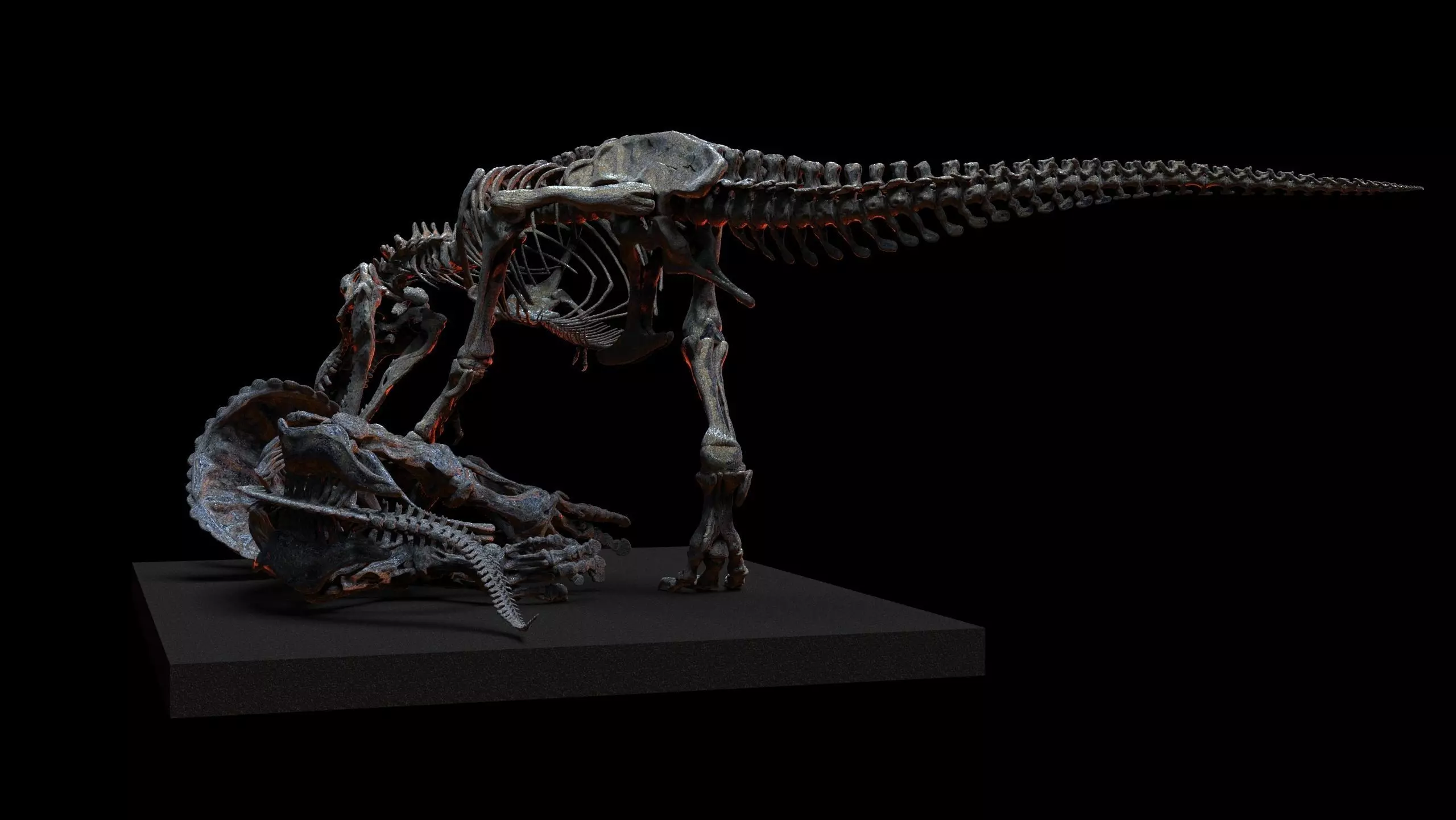 Tyrannosaurus vs triceratops v2 3D print model_1